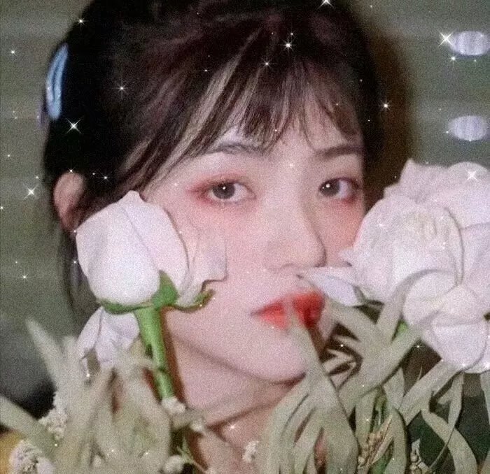 浩哥爱情故事